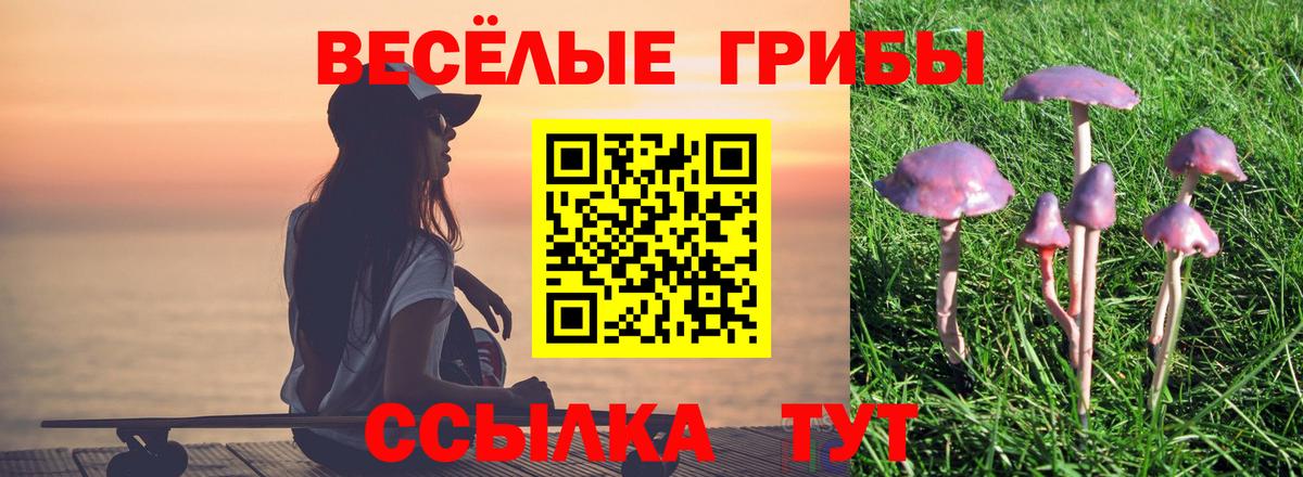 Псилоцибиновые грибы мухоморы Новочеркасск